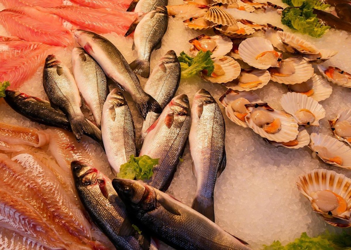 meal, fish, seafood, sea, food, animal, sea animal, fresh, eat fish, fish trade, fish market, fishing, fresh fish, market, nature, shellfish, oysters
